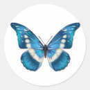 Pesquisar por desenho da borboleta adesivos Vida selvagem