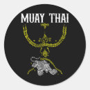 Pesquisar por muay thai kickboxing adesivos Carateca