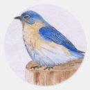 Pesquisar por bluebird adesivos Animais