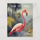 Pesquisar por retro florida cartoes postais Flamingo