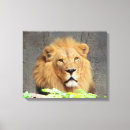 Pesquisar por rei leão impressão de canvas Animais
