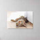 Pesquisar por baby impressão de canvas Cat