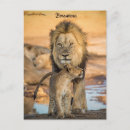 Pesquisar por botswana cartoes postais África