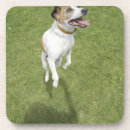 Pesquisar por elevado porta copos Opinião de ângulo alto