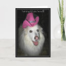 Pesquisar por pastor branco cartoes Collie