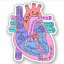 Pesquisar por cardiologia adesivos Enfermeiro