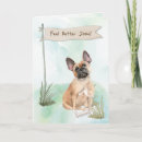 Pesquisar por do buldogue francês cartoes For pets