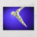 Pesquisar por ossos do pé cartoes postais Cuidados de saúde