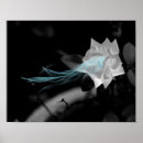 Pesquisar por coração bonito pôsteres Foto