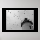 Pesquisar por preto e branco da gaivota artes pôsteres Farol