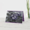 Pesquisar por violetas africanas cartoes For her