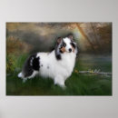Pesquisar por sheltie pôsteres Animais