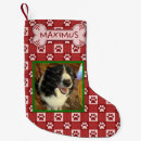 Pesquisar por filhotes cachorro de meias de natal For pets