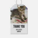 Pesquisar por gatinhos etiquetas de presente Gatinho bonito