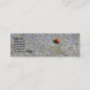 Pesquisar por os joaninhas cartao de visita Natureza