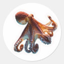 Pesquisar por polvo adesivos Kraken