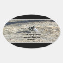 Pesquisar por gato pequeno adesivos Animais de companhia