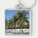 Pesquisar por chaves de florida chaveiros Tropical
