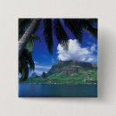 Pesquisar por cook botons Tropical