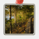 Pesquisar por madeira ornamentos Natural