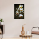 Pesquisar por orquídeas pôsteres Plantas