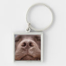 Pesquisar por chocolate chaveiros Cachorrinho
