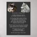 Pesquisar por história dois lobos pósteres pôsteres Animais selvagens