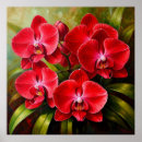Pesquisar por orquídeas exóticas pôsteres Elegante