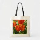 Pesquisar por tulipas bolsas Botânico