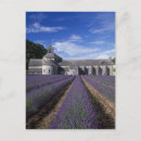 Pesquisar por provence cartoes postais Europe