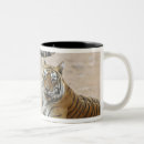 Pesquisar por tigre de bengal canecas Gato