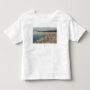 Pesquisar por safira camisetas Lanterna