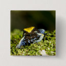 Pesquisar por orelha botons Natureza