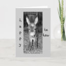 Pesquisar por original amiga aniversario cartoes Fotografia