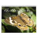 Pesquisar por borboleta calendarios Natureza