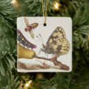 Pesquisar por insetos ornamentos Entomologia