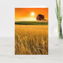 Pesquisar por agriculture cartoes Wheat