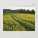 Pesquisar por vegetação cartoes postais Verde