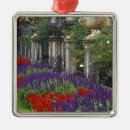 Pesquisar por florescência ornamentos Jardim