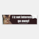 Pesquisar por lolcat Gato