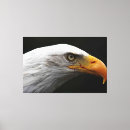 Pesquisar por águia impressão de canvas Branco