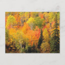 Pesquisar por foliage cartoes postais Folhagem