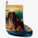 Pesquisar por cavalier meias de natal Cavaleiro charles spaniel