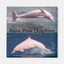 Pesquisar por golfinho azul imas Golfinhos