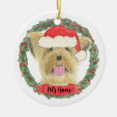 Pesquisar por yorkie ornamentos Pai