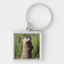 Pesquisar por marmota chaveiros Fofo