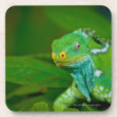 Pesquisar por eco porta copos Natureza