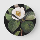Pesquisar por camélias brancas artes pôsteres Japonica da camélia