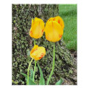 Pesquisar por listras amarelas pôsteres Amarelo