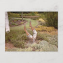 Pesquisar por pernos For him